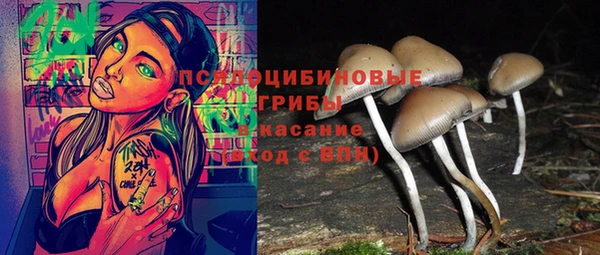 прущие грибы Белоозёрский